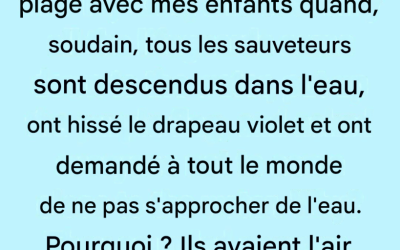 Le drapeau violet à la plage : sa véritable signification (et pourquoi vous devriez y prêter attention)