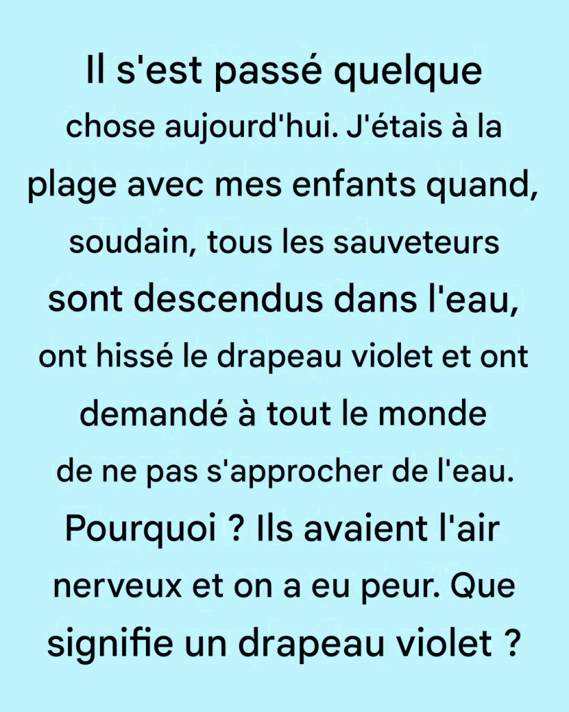 Le drapeau violet à la plage : sa véritable signification (et pourquoi vous devriez y prêter attention)