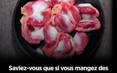 Saviez-vous que si vous mangez des gésiers de poulet, vous n’avez pas besoin de prendre… Lire la suite…