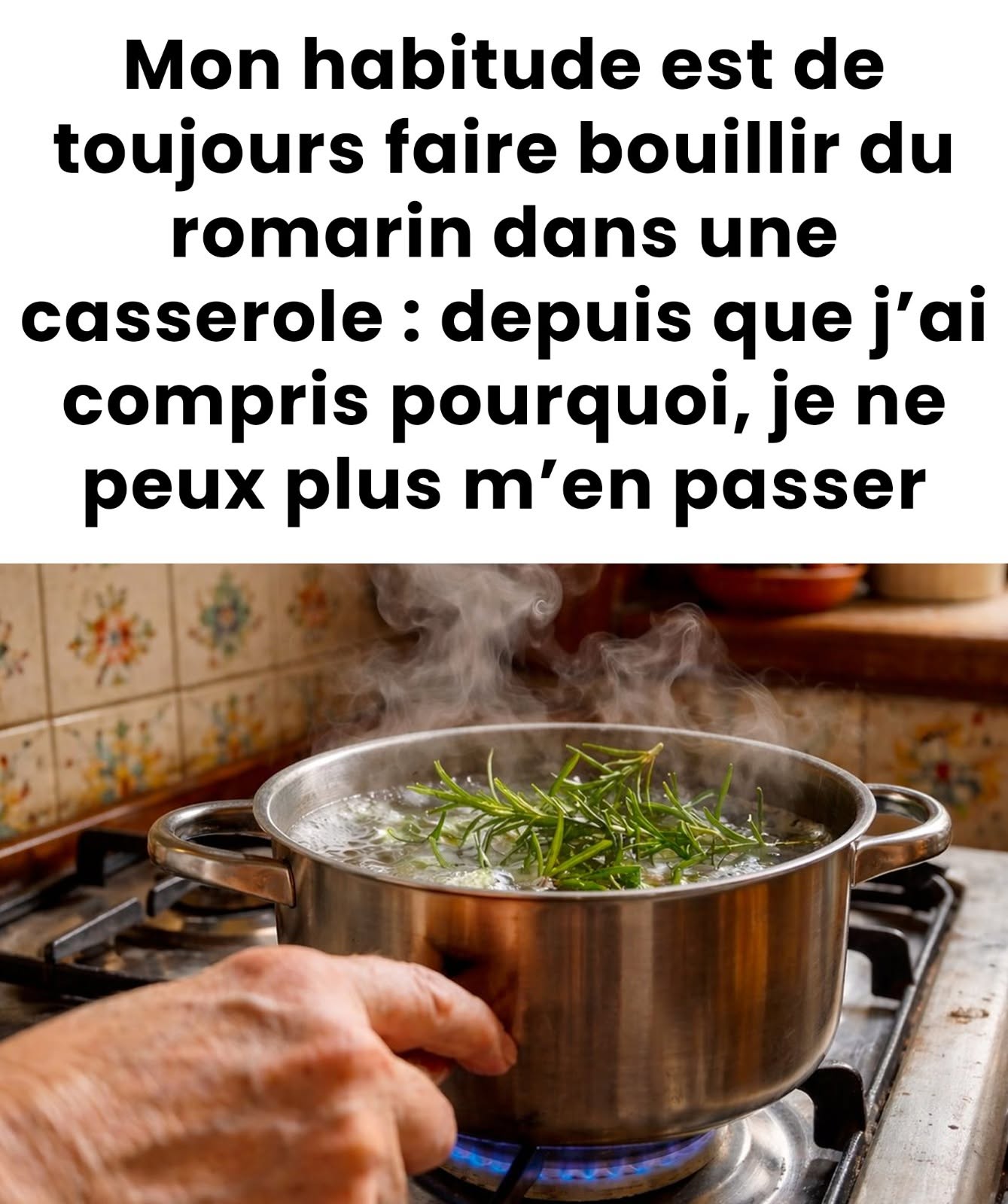 aire chauffer du romarin dans de l’eau bouillante : le geste simple que m’a appris ma grand-mère et qui est aujourd’hui indispensable ⬇