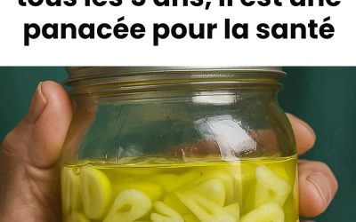 Ce remède tibétain à base d’ail, vieux de mille ans et transmis de génération en génération est considéré comme une panacée pour la santé. J’expliquerai sa préparation dans les commentaires.