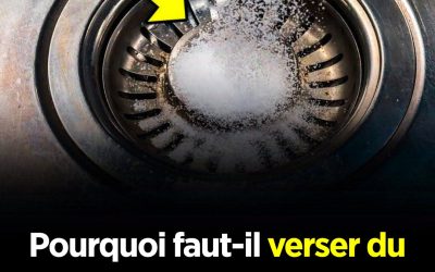 Un conseil utile que j’aurais aimé connaître plus tôt. 🤯