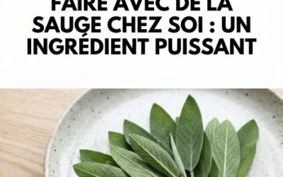 7 choses étonnantes que vous pouvez faire si vous avez de la sauge à la maison : commentaires ⤵️