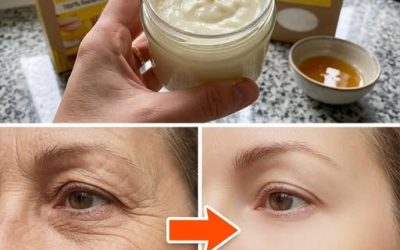 Comment fabriquer un « Botox naturel » à base de Maïzena et de miel pour estomper les rides pendant des heures. Recette ci-dessous. ⤵ Commentaires