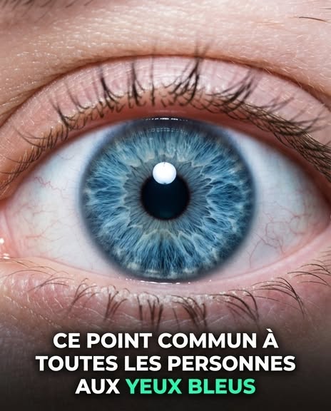 Tous les gens aux yeux bleus ont en commun.. voir plus
