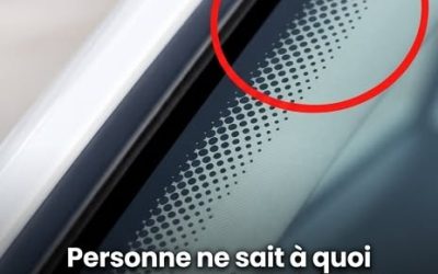 Je ne le savais pas non plus… et franchement, j’ai un peu honte maintenant 😳😂