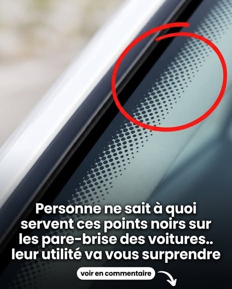 Je ne le savais pas non plus… et franchement, j’ai un peu honte maintenant 😳😂