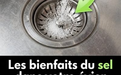 Un conseil précieux que j’aurais aimé découvrir bien plus tôt. 🤯