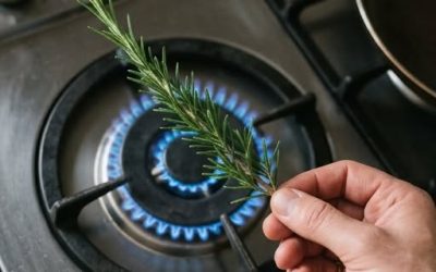 Je n’aurais jamais pensé que brûler du romarin puisse servir à ça… Voir plus