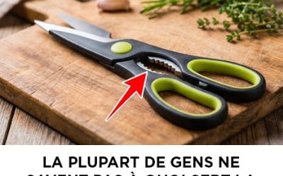 La plupart de gens ne savent pas à quoi sert la partie dentelé des ciseaux Commentaires