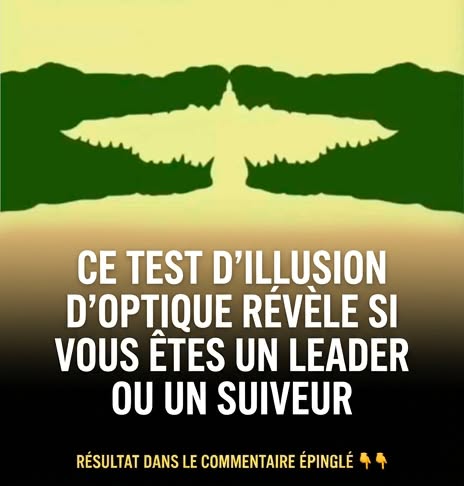 👇Résultat dans le premier commentaire.