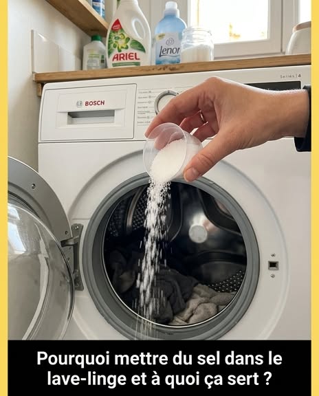Pourquoi mettre du sel dans la machine à laver et à quoi ça sert ?