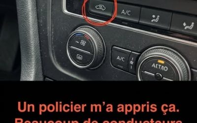 De nombreux conducteurs reconnaissent l'icône sur le tableau de bord représentant une voiture avec une flèche circulaire, mais peu comprennent vraiment sa fonction.