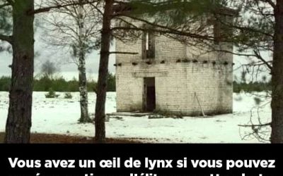 Vous avez l’œil de lynx si vous pouvez repérer un tireur d’élite sur cette photo