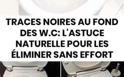 Nettoyer les traces noires incrustées sur la porte du four ressemble souvent à une corvée interminable. Il existe pourtant une astuce toute simple pour dissoudre ces graisses brûlées sans s'épuiser à frotter. 👇
