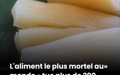 Présent dans la quasi-totalité de nos cuisines, ce produit que nous consommons presque tous les jours cache une réalité bien plus sombre. Son impact sur notre organisme est tel que les professionnels de santé tirent aujourd'hui un signal d'alarme majeur. 👇