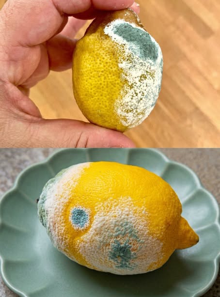Voici comment prolonger la fraîcheur des citrons et empêcher qu’ils s’abîment 🍋