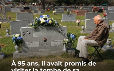 Un drame bouleverse le cimetière...😭💔👇