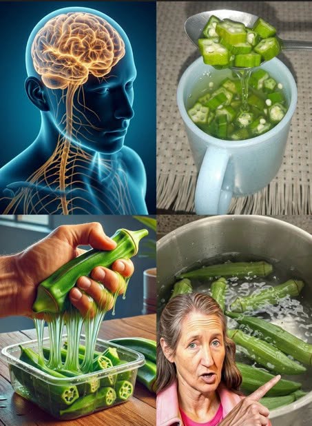 10 choses à connaître sur le gombo. 🌿 Tous les détails dans le premier commentaire. 💬👀👇