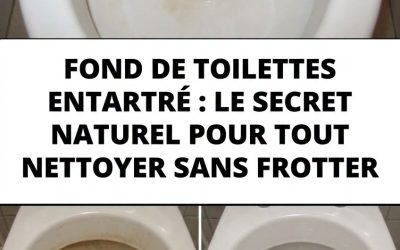 ✨ Les traces noires sur la porte du four vous résistent ? Cette astuce toute simple pourrait bien vous étonner. 👇