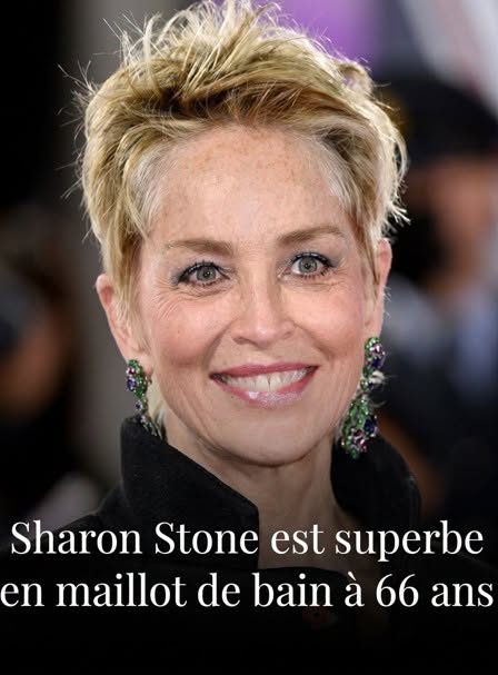 À 66 ans, Sharon Stone affiche une silhouette remarquable dans un maillot de bain éclatant 😍 L’actrice continue d’impressionner ses admirateurs par son élégance, sa confiance et son énergie. Plus d’infos ci-dessous 👇