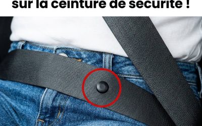 Presque personne ne connaît la véritable utilité du petit bouton situé sur la ceinture de sécurité… 👀👇