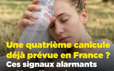 Une quatrième canicule se profile-t-elle ? Les climatologues tirent la sonnette d’alarme.