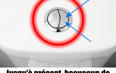 Nombreux sont ceux qui croient encore que ces 2 boutons n'ont qu'une seule fonction : actionner la chasse d'eau des toilettes... voir plus