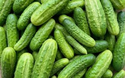 Les médecins révèlent que manger du concombre en salade provoque... Voir plus