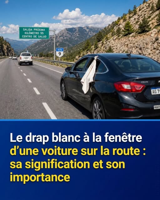Il s'agit d'une indication importante en cas de ... Voir plus...