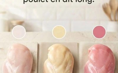 Pourquoi la couleur du poulet continue de semer la confusion chez les consommateurs – et ce qu’elle révèle réellement sur sa qualité