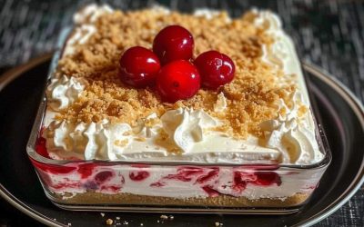 Gâteau au fromage aux cerises Lush