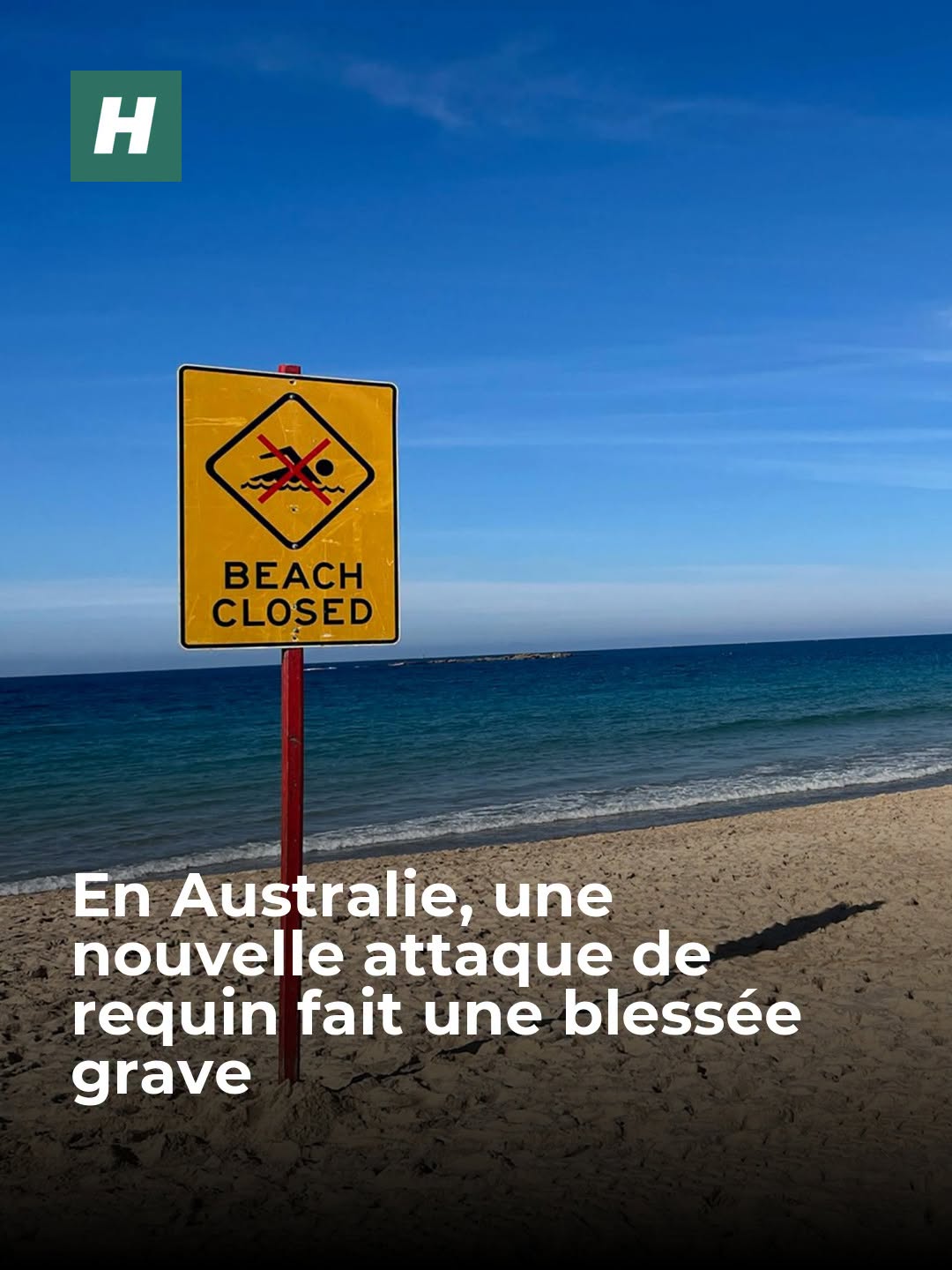 Une nageuse a été mordue par un requin à Sydney, sur l’une des plages les plus fréquentées du pays. Les autorités ont pris la décision de fermer plusieurs plages par précaution. 👉
