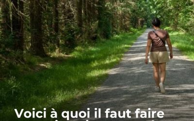 Une promenade en forêt peut permettre de se rafraîchir lorsque les températures sont caniculaires, mais le risque de feux de forêt ne doit pas être oublié.