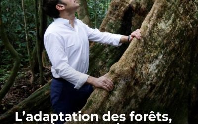 Les incendies monstres de cet été 2026 font craindre le pire pour les forêts françaises, sous-dotées financièrement dans l’adaptation au réchauffement climatique.