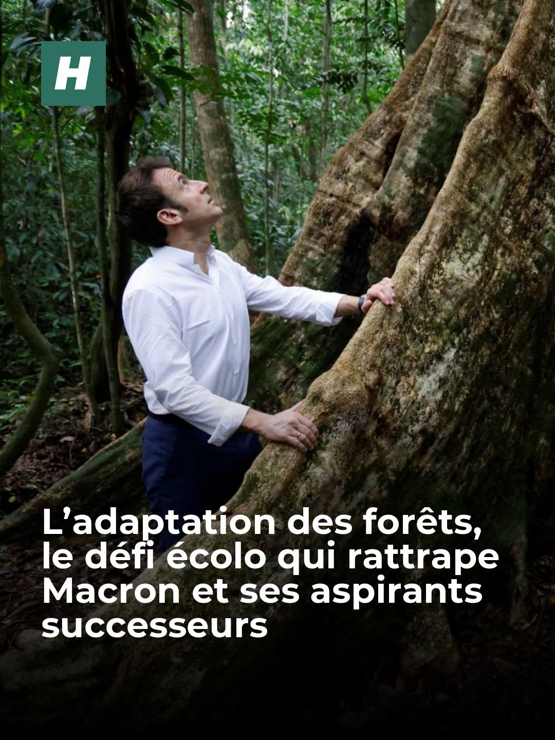 Les incendies monstres de cet été 2026 font craindre le pire pour les forêts françaises, sous-dotées financièrement dans l’adaptation au réchauffement climatique.