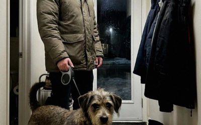 Mon mari a commencé à emmener notre chien faire des « promenades » de trois heures tous les soirs — un soir, j’ai vérifié le collier GPS du chien et j’ai eu un coup au cœur.  Mon mari, James, et moi sommes ensemble depuis neuf ans. Nous avons deux enfants — une fille de sept ans et un fils de cinq ans —, notre vie est donc le mélange habituel de chaos, de goûters et de négociations à l’heure du coucher.  C’est pourquoi j’ai dit non quand il a commencé à me supplier d’adopter … En voir plus