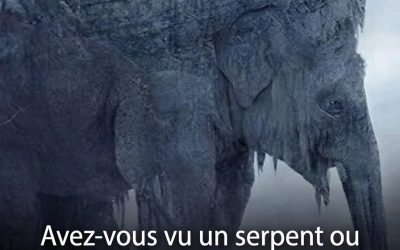 Serpent ou Éléphant ? Ta réponse pourrait bien te surprendre 🐍🐘