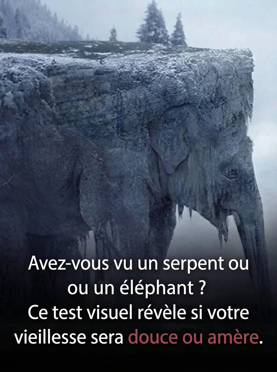 Serpent ou Éléphant ? Ta réponse pourrait bien te surprendre 🐍🐘