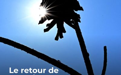 La semaine du 10 au 16 août s’annonce plus chaude qu’en temps normal, quasiment partout en France.