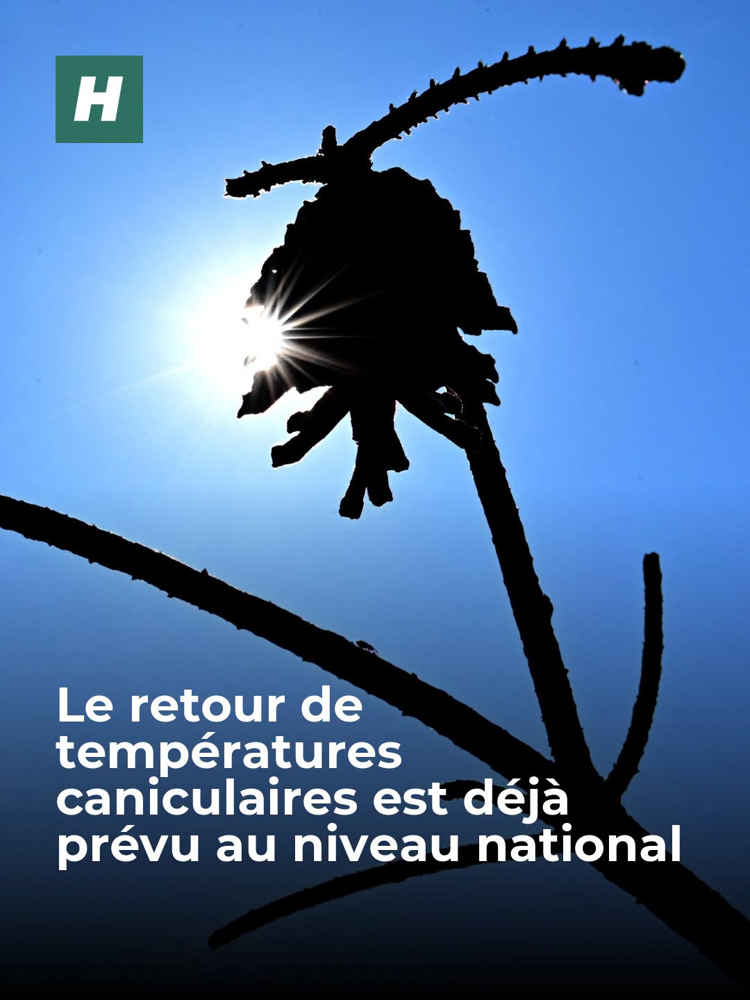 La semaine du 10 au 16 août s’annonce plus chaude qu’en temps normal, quasiment partout en France.