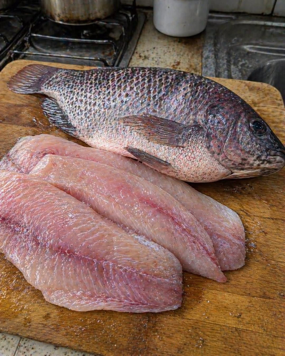 Les scientifiques révèlent que manger du tilapia peut provoquer… Voir plus