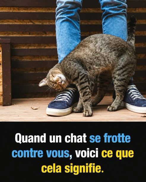 Consulte le premier commentaire