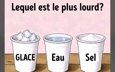 Quelle est la bonne réponse ?