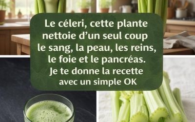 Découvrez la plante qui, en une seule dose, purifie votre sang, régénère votre peau et nettoie en profondeur vos reins, votre foie et votre pancréas Article complet dans le premier commentaire
