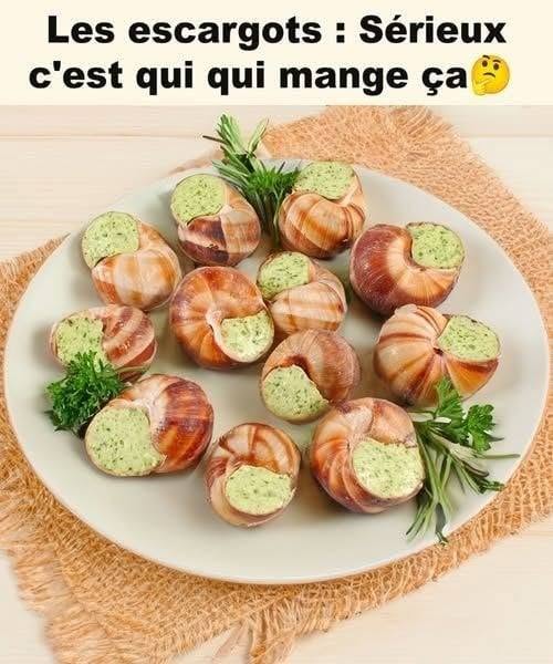 Escargots au Beurre Persillé – Recette Traditionnelle  Les escargots au  beurre persillé sont l’un des plats les plus emblématiques de la cuisine française. Délicatement parfumés à l’ ail et au persil, ils séduisent les amateurs de saveurs authentiques et raffinées. Servis en entrée lors des grandes occasions, comme les fêtes de fin d’année, ils offrent une expérience gustative unique, mêlant la tendresse de la chair des escargots à l’onctuosité du beurre fondu. Cette recette traditionnelle, bien que simple à réaliser, repose sur un équilibre subtil entre les ingrédients pour révéler toute la richesse des saveurs. Viandeet fruits de mer  Déguster des escargots peut sembler intimidant pour certains, mais leur préparation est bien plus accessible qu’il n’y paraît. Grâce à cette recette, vous apprendrez à préparer des escargots au beurre persillé maison, dignes des plus grandes tables. Le secret réside dans la qualité des ingrédients : un beurre bien crémeux, un persil frais et parfumé, ainsi qu’un ail délicatement dosé pour ne pas masquer le goût des escargots. Le tout est sublimé par une cuisson rapide au four, qui fait fondre le beurre et enrobe chaque bouchée d’un parfum irrésistible.  Voir la suite à la page suivante.