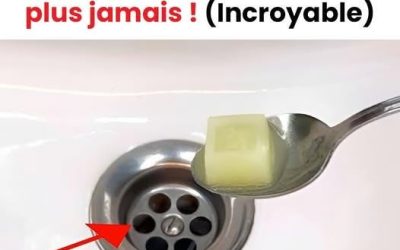La solution naturelle pour des canalisations impeccables !