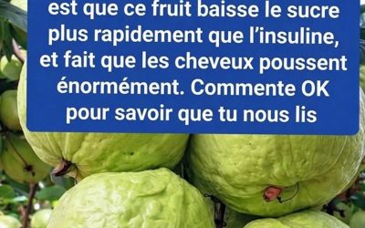 🍈✨ Goyave : Le Fruit Tropical Qui Attire l'Attention pour l'Équilibre de la Glycémie et le Bien-Être