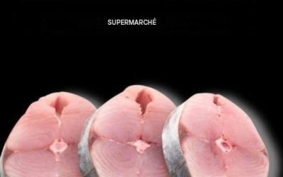 Les 8 poissons les plus contaminés à éviter au supermarché.