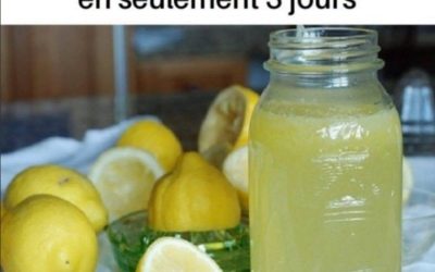 La plupart des gens ne connaissent pas la bonne façon de préparer l’eau au citron